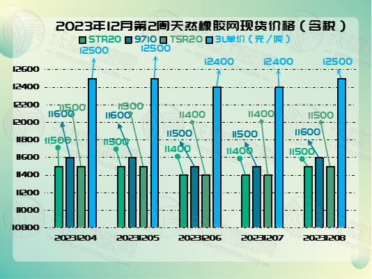 二零二三一二一二橡膠周圖二.jpg