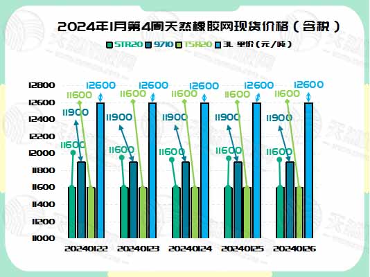 二零二四零二零六橡膠周圖二.jpg